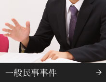 一般民事事件