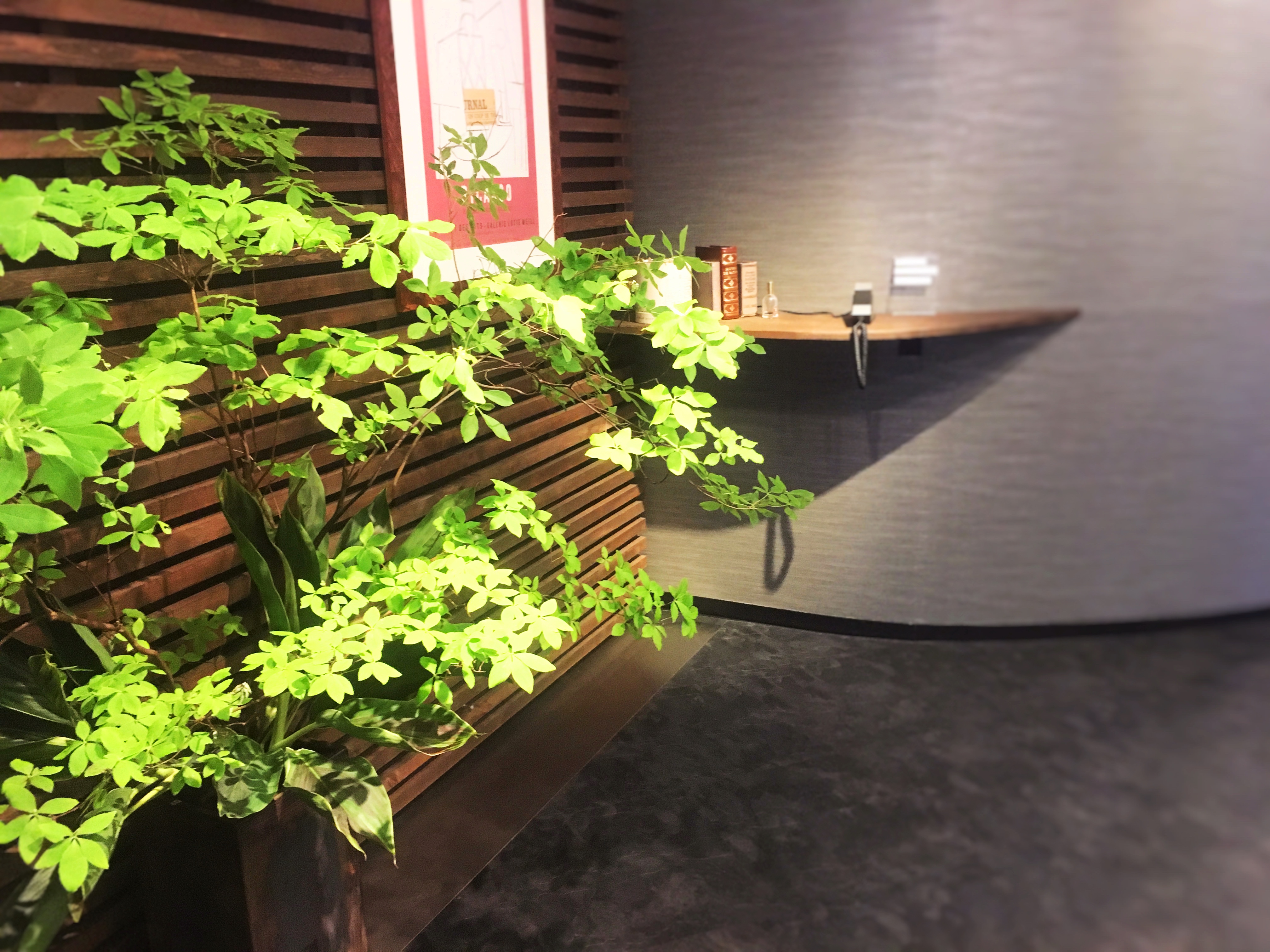 高山博司法律事務所 大阪 京都 滋賀